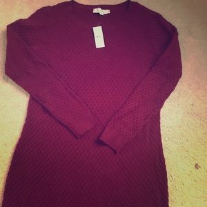 New with tags Loft Sweater Dress